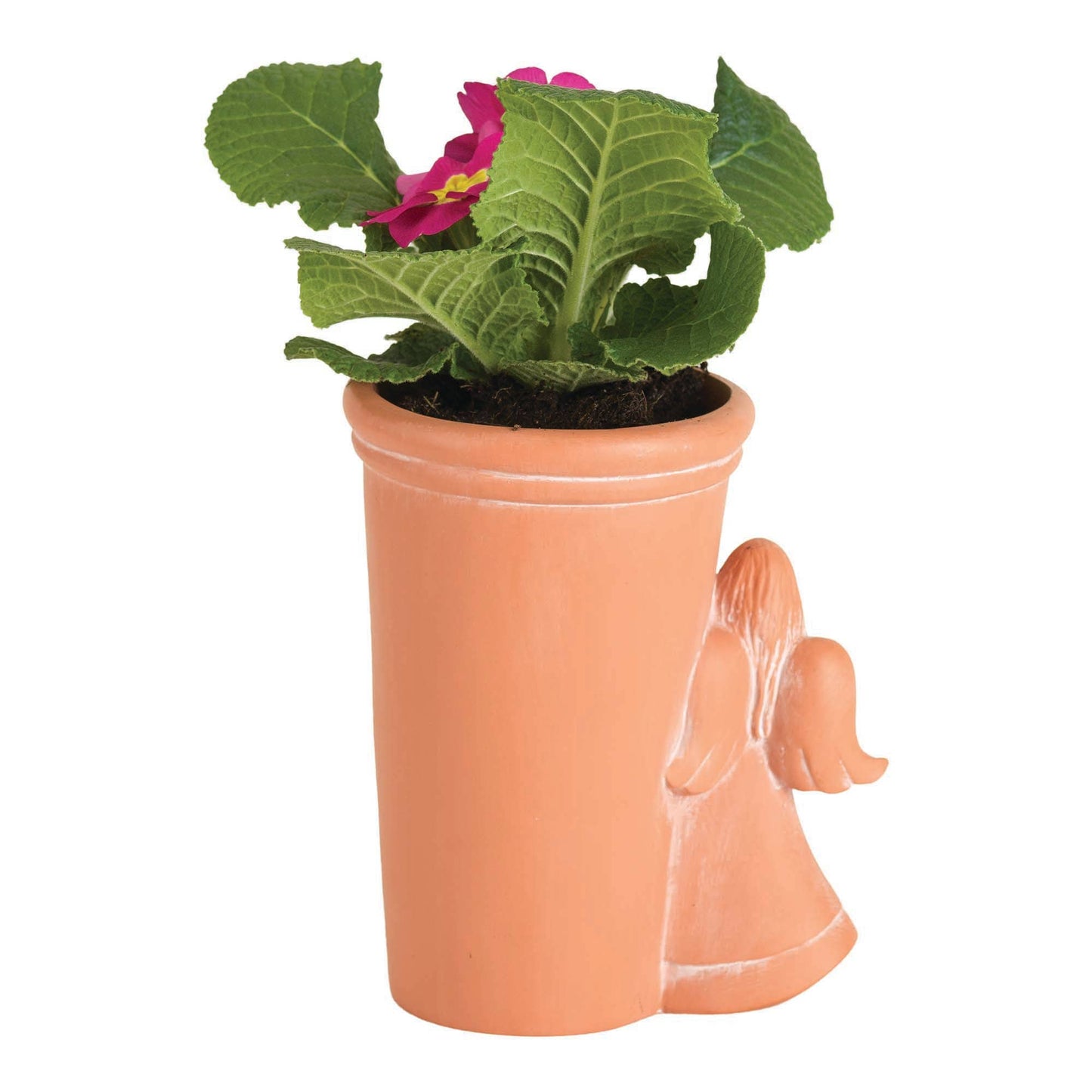 Angel 'I Thought of You Today' Bereavement Plant Pot